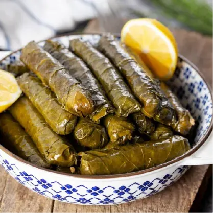 محشي ورق العنب